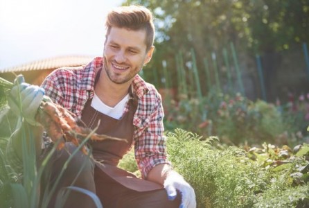 Programul tanarul fermier vine la pachet cu terenuri agricole
