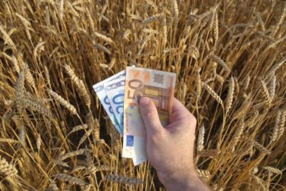Agricultura romaneasca, din ce in ce mai profitabila