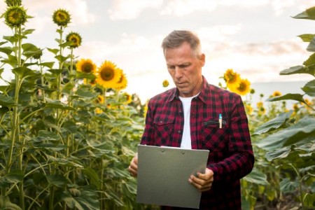 Startup Nation: Finantare de 50.000 de euro pentru afacerile deschise in agricultura
