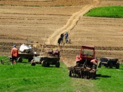AFIR a epuizat in 5 zile fondurile alocate pentru infrastructura de acces agricola