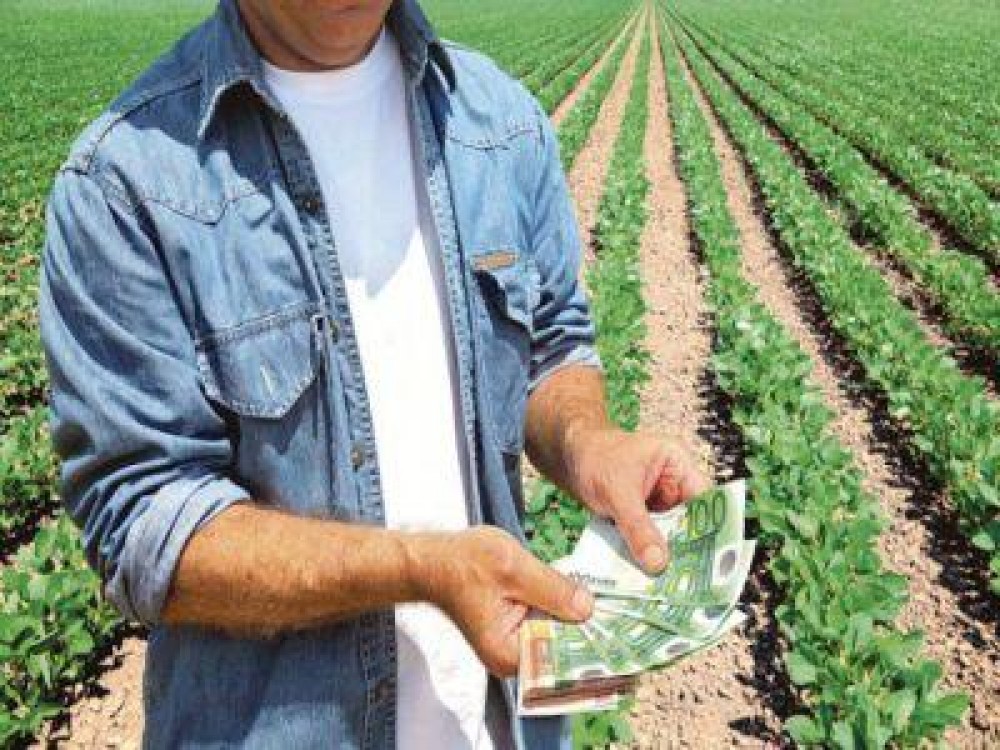AFIR: Peste 1,3 miliarde de euro au fost virate in conturile fermierilor care au depus proiecte de finantare