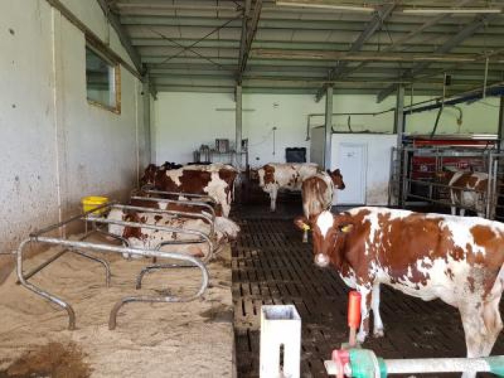 AFIR prezinta povestea de succes de la ferma Peica