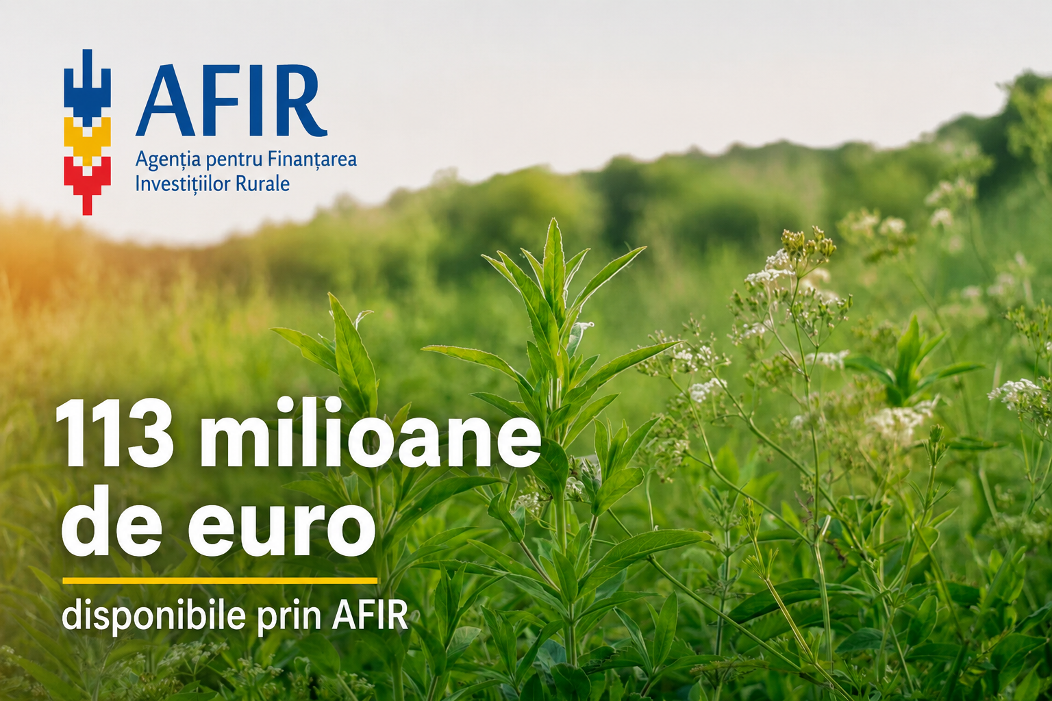 AFIR: 113 milioane de euro pentru ferme mici, floricultura si plante medicinale