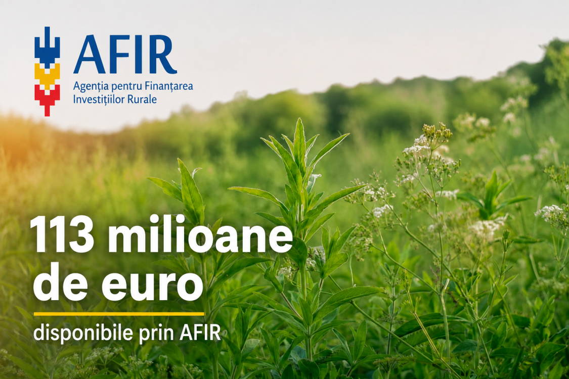 AFIR: 113 milioane de euro pentru ferme mici, floricultura si plante medicinale