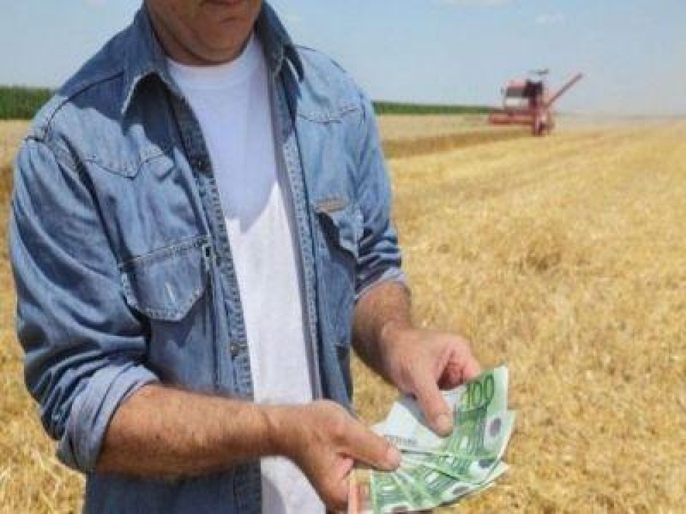 Beneficiarii masurilor din PNDR pot face imprumuturi de la IFN-uri