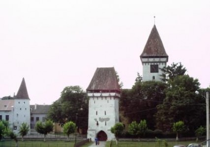 Un brand verde pentru locuitorii din Valea Hartibaciului