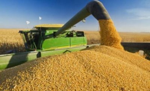 Bloomberg: Romania redevine o putere agricola