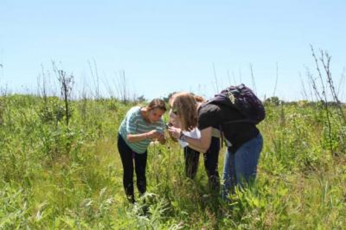 Numarul de clase cu profil agricol va scadea