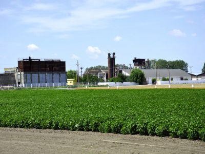 Topul subventiilor acordate de APIA in campania precedenta