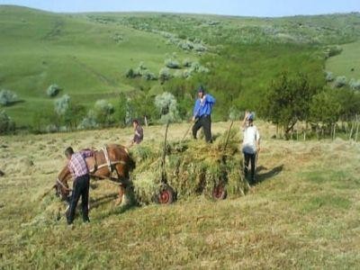 Suntem pe primul loc in UE la ponderea populatiei ocupate in agricultura