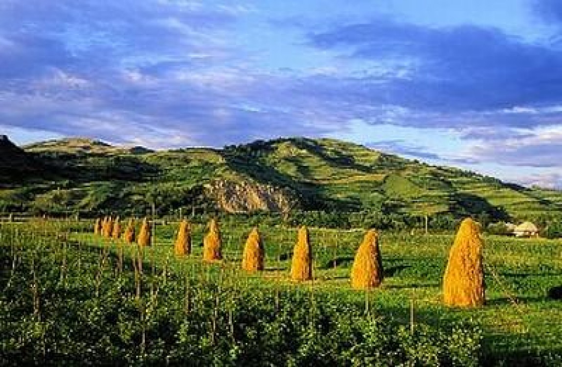 Cu cat a crescut productia agricola in 2011