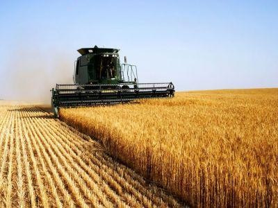 Un oficial din cadrul Comisiei Europene vorbeste despre situatia agriculturii romanesti