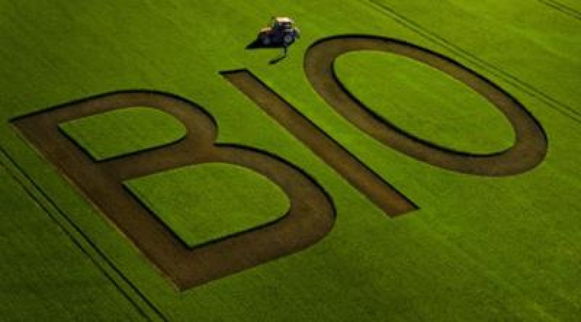 MADR: Romania, 500.000 de ha de agricultura bio pana in 2021