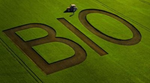 MADR: Romania, 500.000 de ha de agricultura bio pana in 2021