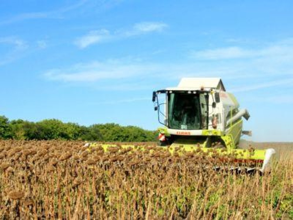 Topul celor mai mari castiguri din sectorul agricol