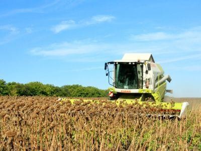 Topul celor mai mari castiguri din sectorul agricol