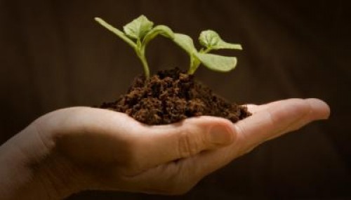 Si eurodeputatii cred ca reforma PAC trebuie sa se indrepte spre o agricultura durabila