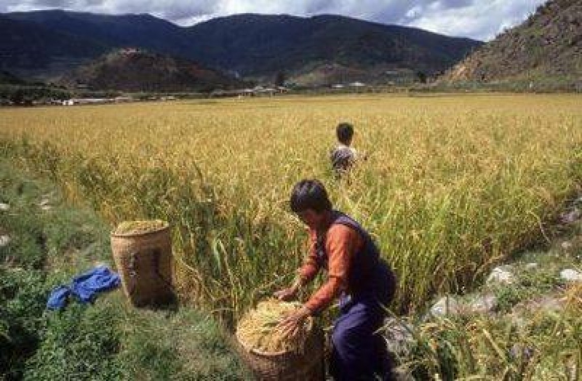 Cine va fi prima tara din lume cu o agricultura ecologica suta la suta
