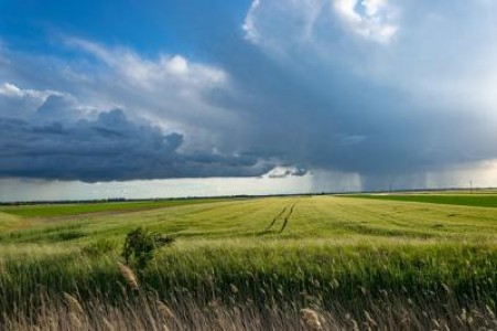 MADR: Agricultura ecologica, din ce in ce mai preferata de fermierii romani