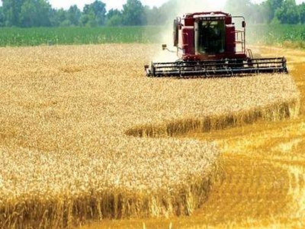 2018 – cel mai bun an agricol din istorie, pentru fermierii romani