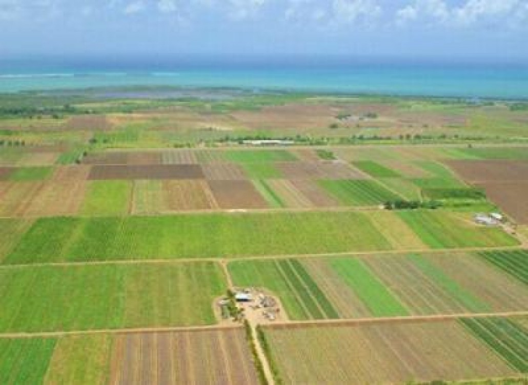 APIA comunica data limita pentru depunerea cererilor de rambursare a diferentei de dobanda