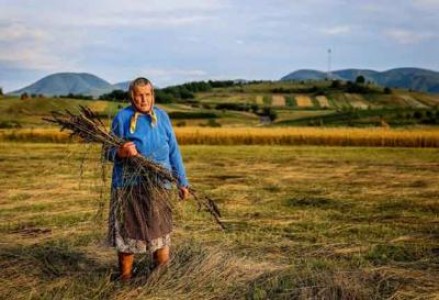 Agricultura nu a pierdut niciun leu la rectificarea bugetara