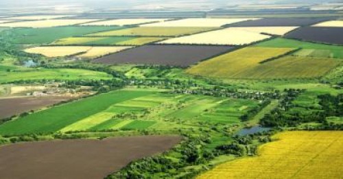 Agricultura romaneasca poate hrani peste 35 de milioane de oameni