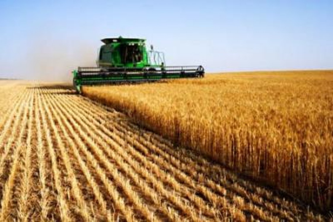 Discutii asupra strategiei de dezvoltare a agriculturii romanesti pe termen mediu si lung