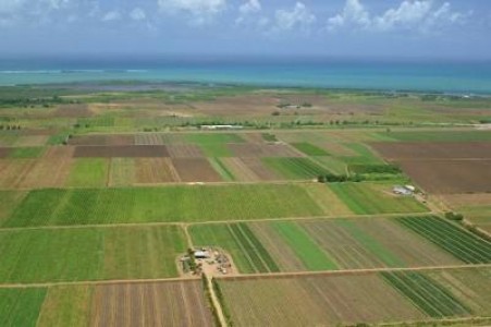Avem nevoie de 21 de miliarde de euro pentru a creste competitivitatea agriculturii romanesti