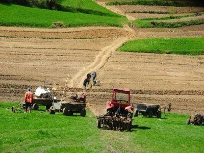 Agricultura Romaniei nu este competitiva. Vezi cine crede asta!