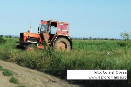 Viorica Boboc, MADR: Asociatiile agricole nu s-au dezvoltat in interesul membrilor