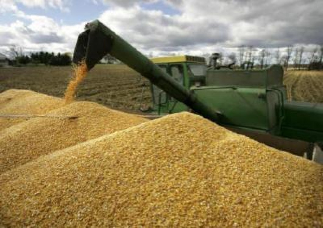 Bilant APDRP: Aproape trei miliarde de euro au intrat in agricultura romaneasca