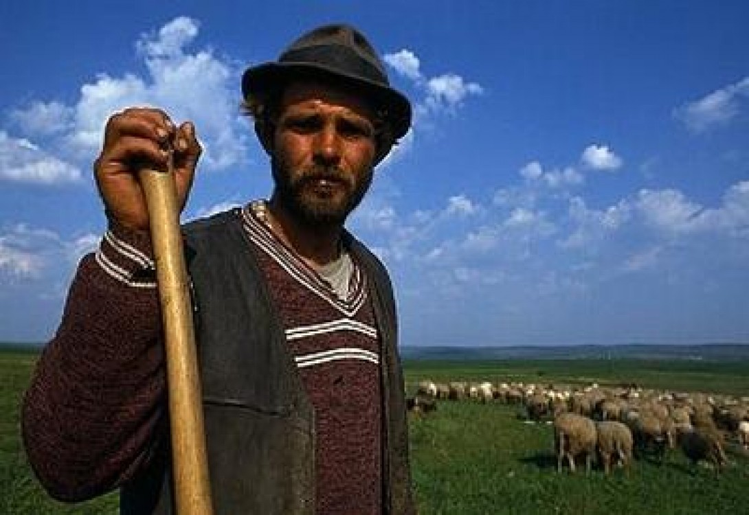 Ministerul Agriculturii ar vrea sa ii mute pe tarani de la coada vacii in zona de servicii