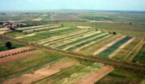 PNDR 2014-2020. Care sunt punctele tari ale agriculturii romanesti