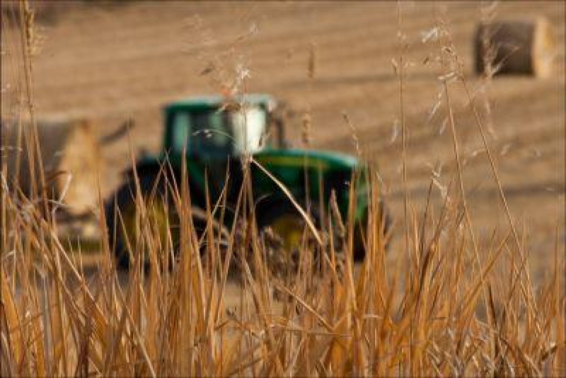Despre agricultura durabila si provocarile de mediu, la Forumul de agricultura