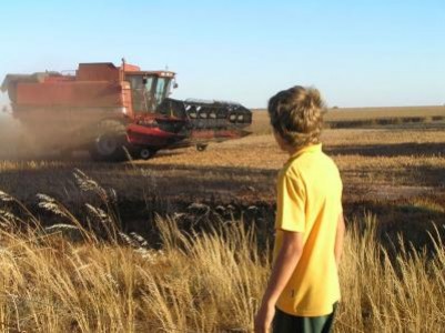 Subventia fermierului roman, maxim 35% din cea a agricultorilor europeni