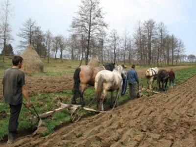 Proiect european adresat persoanelor care fac agricultura de subzistenta in judetul Braila