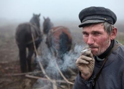 Avem cele mai multe exploatatii agricole, dar si cele mai mici si mai slabe economic