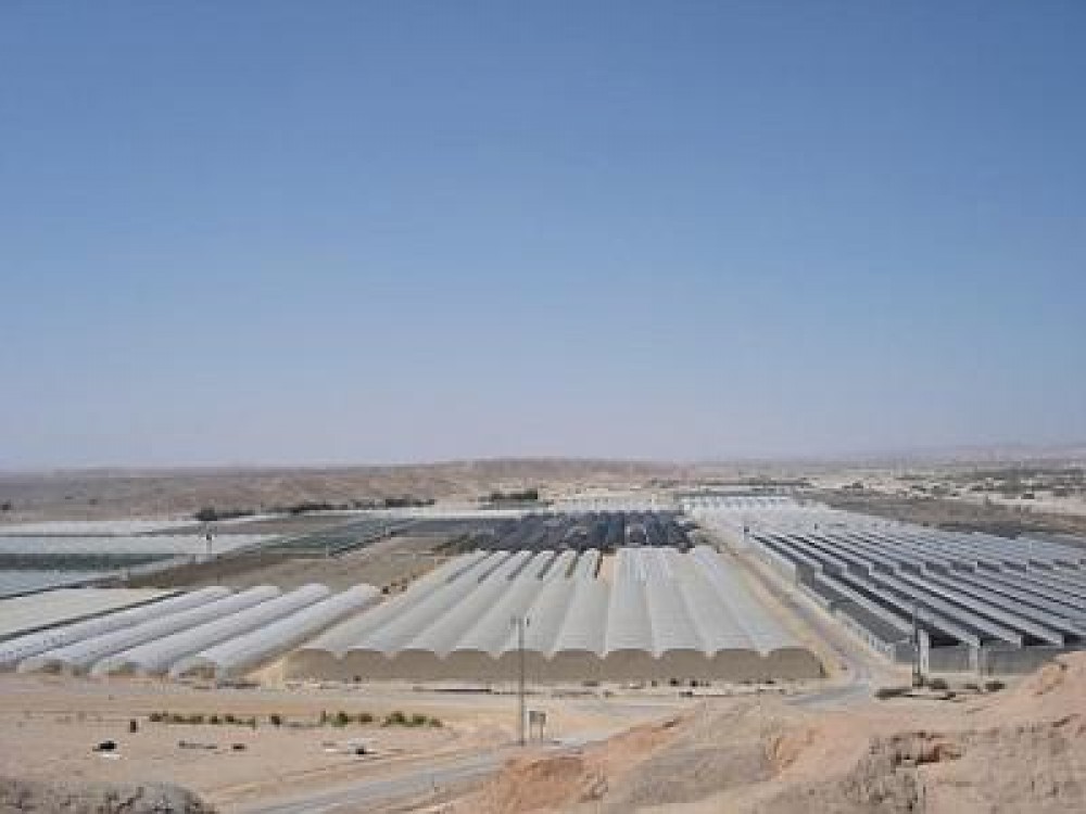 Agricultura in bazinul Marii Negre, studiu comparativ
