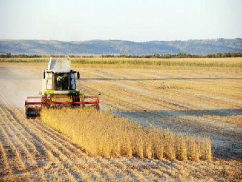 Noi norme agricole imbunatatite, in vigoare de la 1 ianuarie