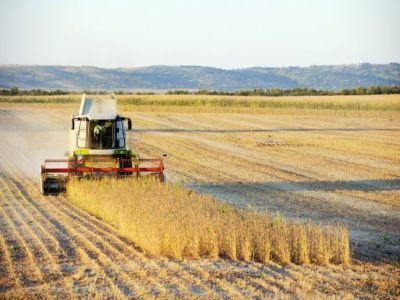 Noi norme agricole imbunatatite, in vigoare de la 1 ianuarie