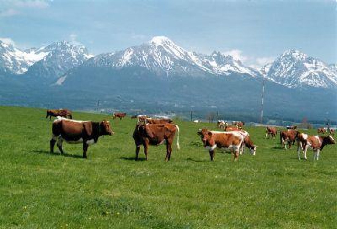 Un miliard e euro pentru dezvoltarea zonelor montane