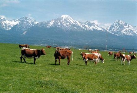 Agricultura in zonele montane va beneficia de o strategie dedicata de dezvoltare