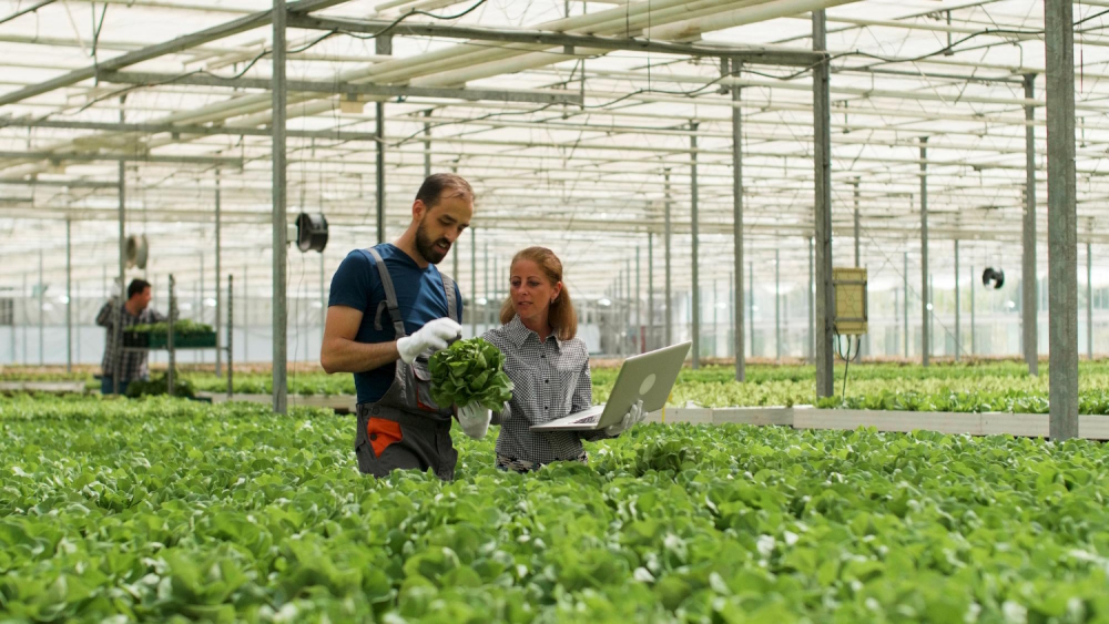 Cum sa asiguri conditii optime de munca in ferme si baze de productie