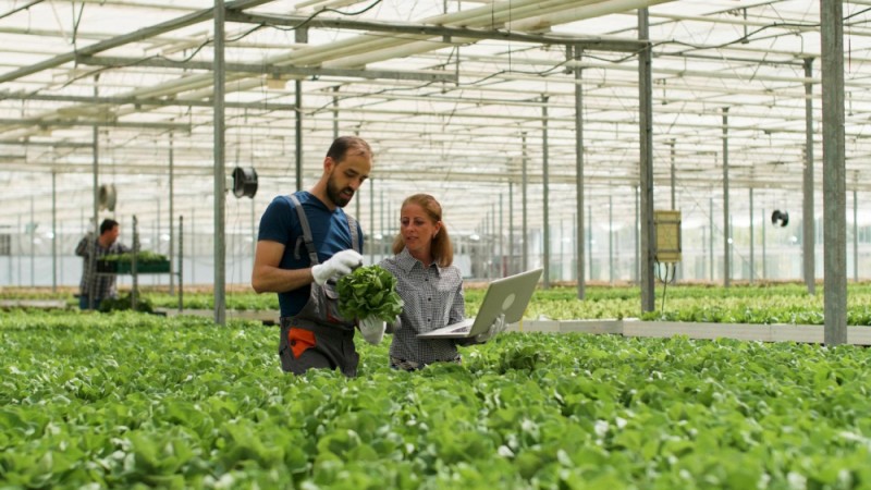 Cum sa asiguri conditii optime de munca in ferme si baze de productie