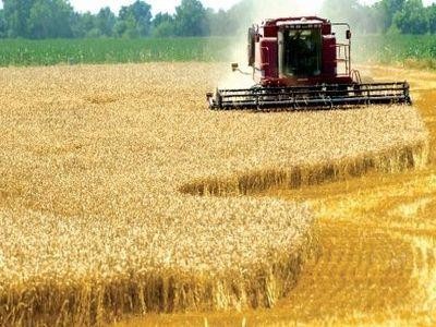 Analistii straini lauda progresele facute de agricultura romaneasca