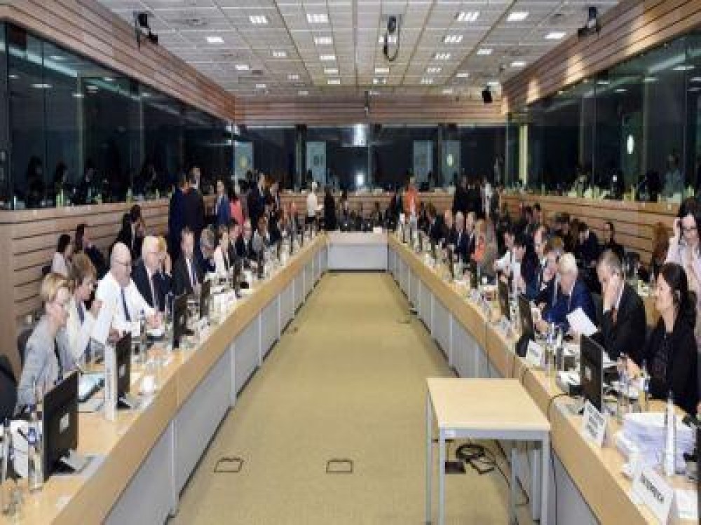 Romania nu este de acord cu plafonarea platilor directe si cu cofinantarea din surse nationale a sumelor platite pe suprafata agricola