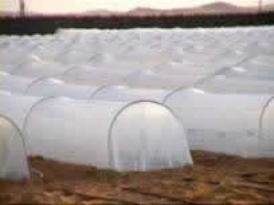 Reforma Politicii Agricole Comune, in viziunea miscarii Slow Food