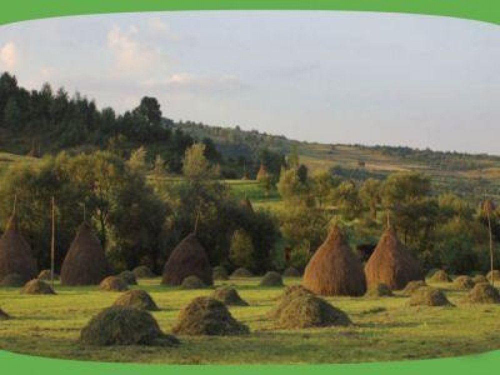 Ce finantari se obtin prin PNDR pentru masurile de mediu si clima aplicabile pe terenurile agricole