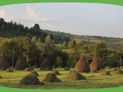 Ce finantari se obtin prin PNDR pentru masurile de mediu si clima aplicabile pe terenurile agricole